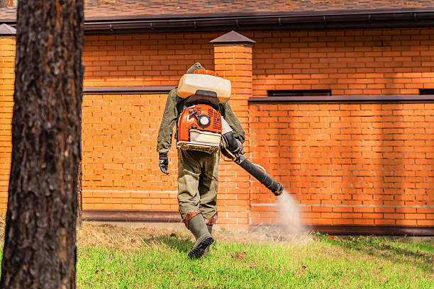 Bed Bug Clearance Verification and Documentation in Lincoln Village